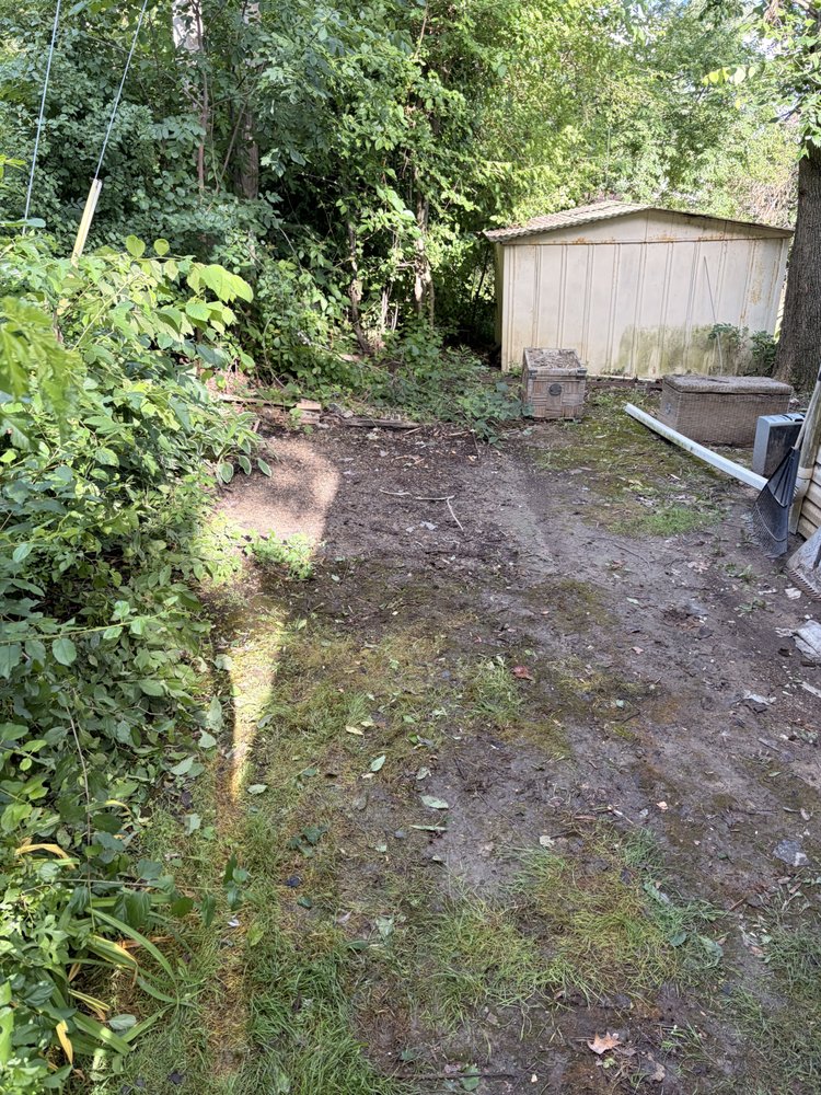Shed Removal — after